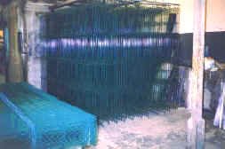 amoreno (28034 bytes)